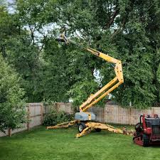 Best Lawn Maintenance Plans  in Galls, IN