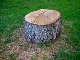 Best Lawn Grading and Leveling  in Galls, IN
