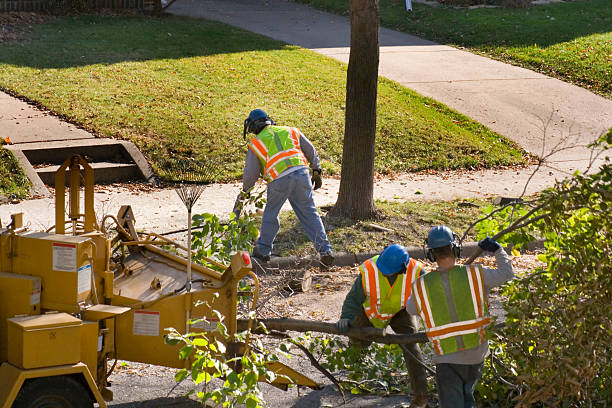 Best Seasonal Cleanup (Spring/Fall)  in Galls, IN